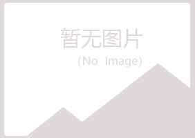 白银平川夏彤金属有限公司